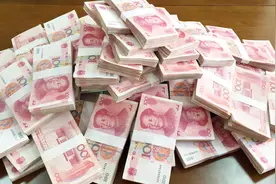 公开的秘密：四大银行背后的大股东是谁？「林玉伟」视频封面