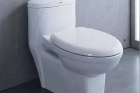食盐倒在马桶里，轻松解决困扰家家的难题，不知道就可惜了视频封面