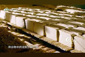 46秒认识中药里“曲”的作用