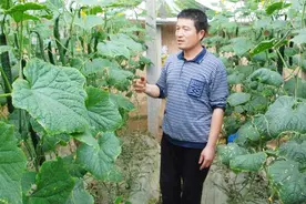 农民打药时候偷偷加点醋，真正原因有3个，第1点让我没想到视频封面