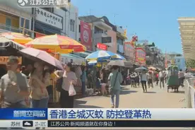 严格防控登革热！香港长洲27日起开展全岛灭蚊，将源头关闭一个月