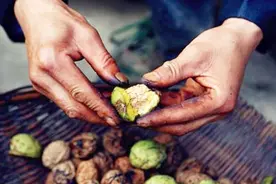 剥青核桃，满手被染黑？只需拿这个搓一搓，立马变干净