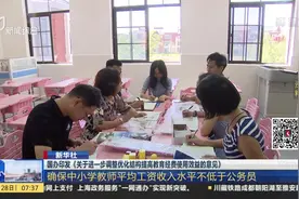 新意见出台：教育经费占GDP不低于4% 教师工资水平不低于公务员视频封面