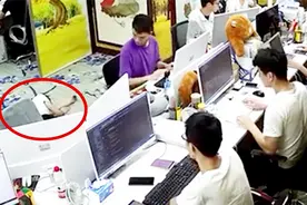 程序员疑因熬夜加班过度 上班晕倒不醒人事 同事赶忙将其送医治疗视频封面