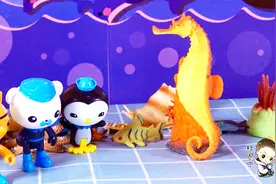 海底小纵队皮索看望海马爸爸视频封面