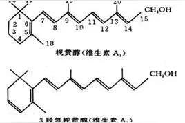 维生素A的作用，缺乏维生素a的原因，哪些食物能补维A，快收藏吧图片