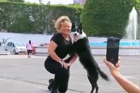爱拍照的狗子了解一下，职业竖耳卖萌，露八齿微笑姿势到位视频封面