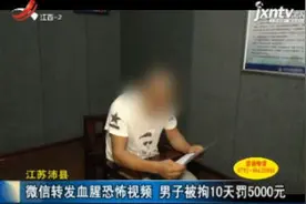 江苏沛县：微信转发血腥恐怖视频 男子被拘10天罚5000元视频封面