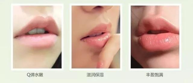 动物擦身体乳
