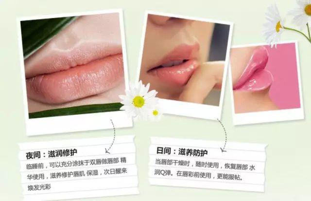动物擦身体乳