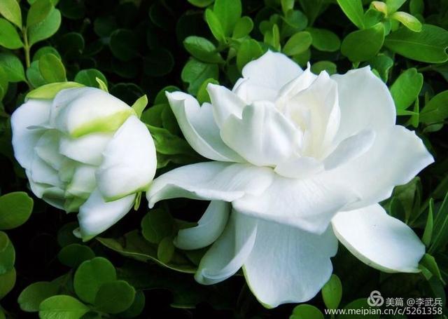 ���磬��Щ����������