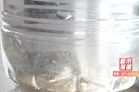 开封一小区6层以上，二次供压后竟带油漆味！这样的水还能喝吗？视频封面