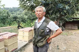 养蜜蜂30年的大爷，用实话告你真正的蜂蜜多少钱一斤？原来这么贵视频封面