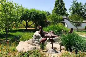 「FENG娱」“认养”一棵树，把你我的记忆留住图片
