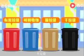 垃圾分为4大种！分类标准又是什么呢？视频封面