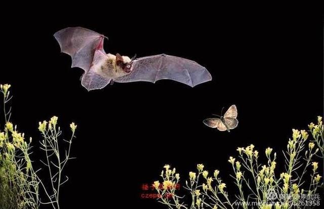 ���磬��Щ���������� ��ʫ