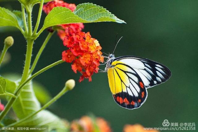 故乡,那些难忘的事物 组诗
