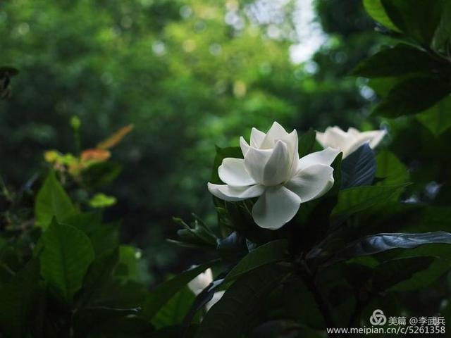 ���磬��Щ���������� ��ʫ