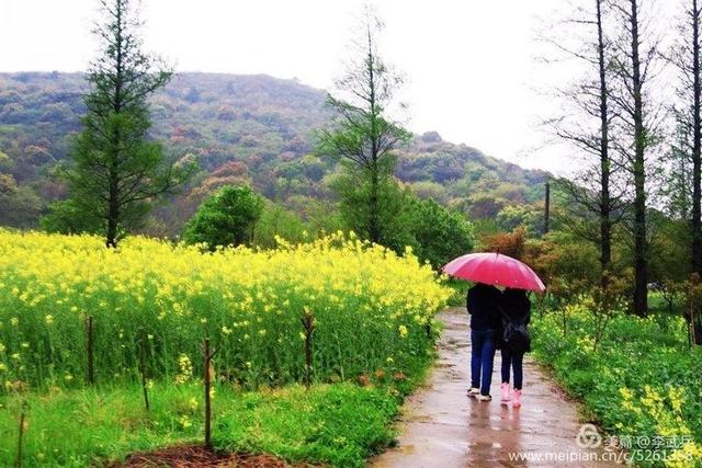 ���磬��Щ���������� ��ʫ