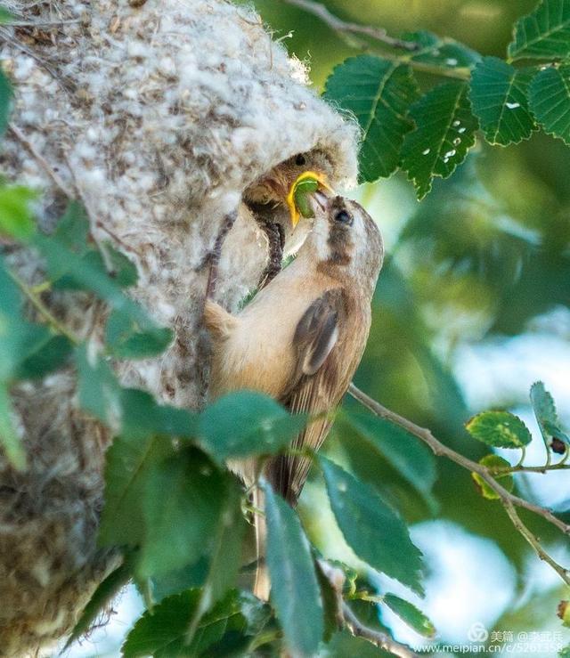 ���磬��Щ���������� ��ʫ