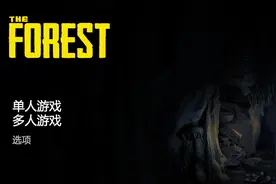 《森林》救儿子和不救儿子结局视频封面