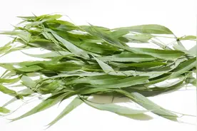 活了三十年才知道，柳树叶还有这个妙用，太实用了，看完告诉家人