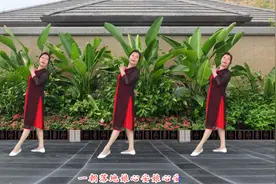 抒情广场舞《十跪爹娘》送给天下的父母，您们辛苦了！视频封面