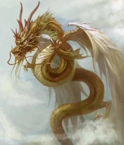 十二星座守护神兽,双子座吉祥的象征,水瓶座是太阳精灵!