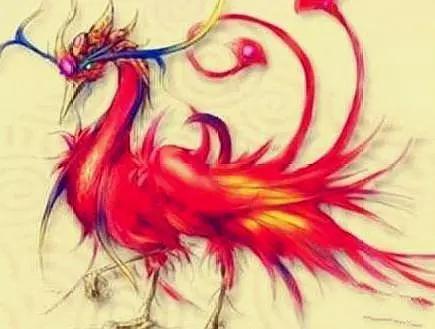 十二星座守护神兽,双子座吉祥的象征,水瓶座是太阳精灵!