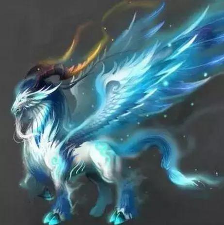 十二星座守护神兽,双子座吉祥的象征,水瓶座是太阳精灵!