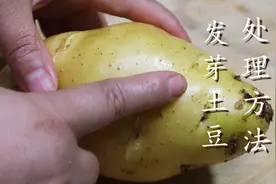 土豆发芽到底能不能吃？很多人都吃错了，等于吃毒，看完长见识了图片