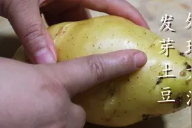 土豆发芽到底能不能吃？很多人都吃错了，等于吃毒，看完长见识了图片