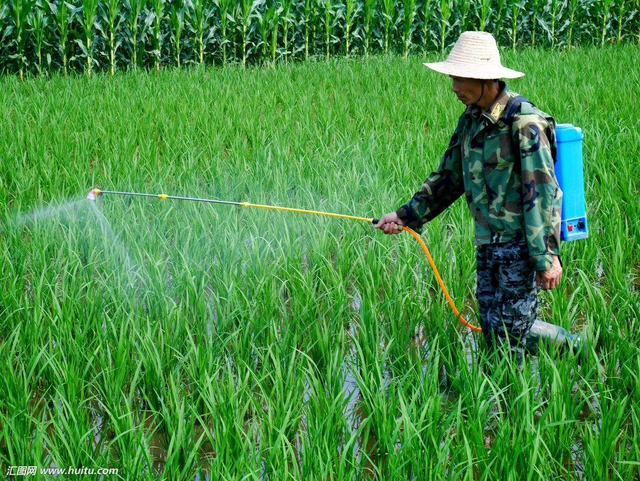 叶面肥与农药混配，不注意以下几点，不但药肥白打，还会出问题！