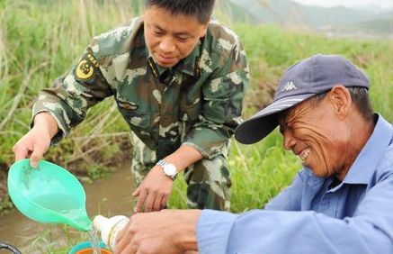 叶面肥与农药混配，不注意以下几点，不但药肥白打，还会出问题！