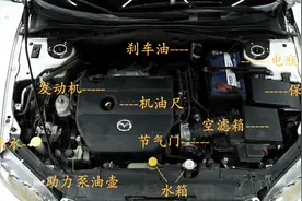 史上最全发动机舱讲解及添加液位置方法，开车的人都应该懂一点！视频封面