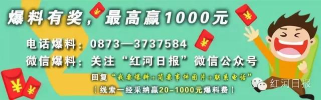 走，克个旧看熊大熊二~还有老虎、猴子、大象……攻略赶紧收下