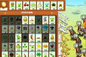 小牛游戏解说：植物大战僵尸生存模式泳池第1轮的挑战