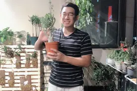 沙漠玫瑰怎么养？2分钟教你超简单视频封面