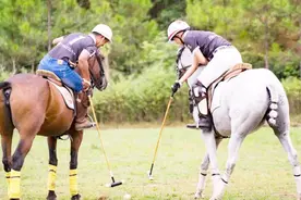 哪些行业真的能接触到很多有钱人？视频封面