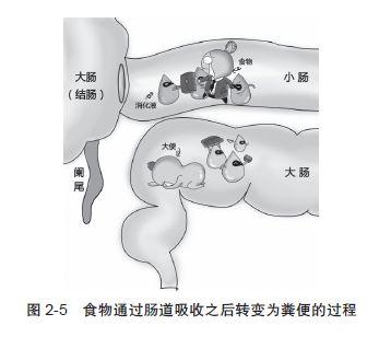 街坊说的那些“术后忌口”，到底该不该信？