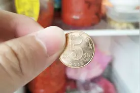 冰箱里必须要放一枚硬币，但是知道的人不多，这样做有奇效！视频封面