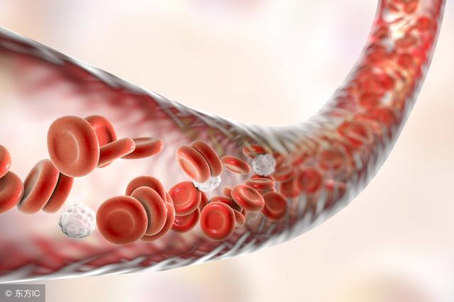 灵芝真的可以保护肝脏吗？营养价值可不低，别说你不知道