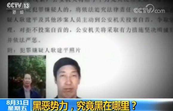 《新闻1+1》揭秘啥是真正的黑社会：有私人武装 把官员当奴才