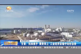 今年前7月 甘肃工业经济增速居全国第10位 呈稳中向好态势视频封面