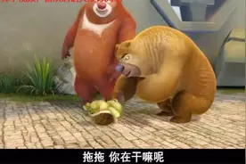 熊出没：乌龟托托摔倒了背部着地，起不来了让熊兄弟扶他起来视频封面