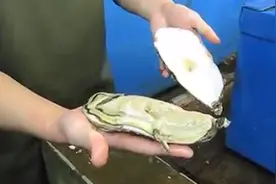 生吃手掌般大的生蚝！这汁水太鲜甜美味啦视频封面