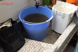 鱼缸的过滤器洗完水不要倒掉，用来浇花非常肥视频封面