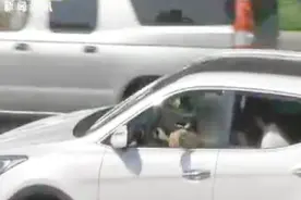 注意了！在西安车窗抛物一经发现将处以50元罚款视频封面