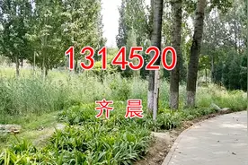 一首《1314520》一生一世我爱你，好听极了视频封面
