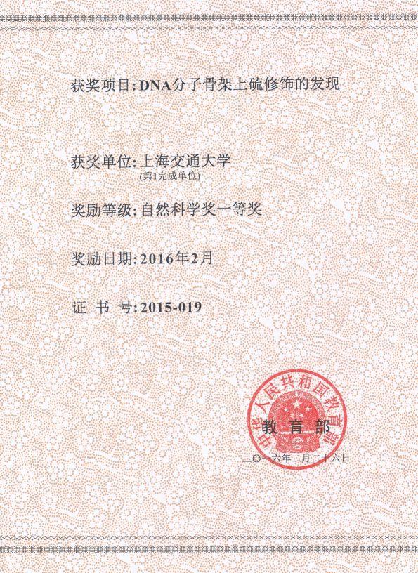 交大科技之光！他们科研成果显著的秘诀是……